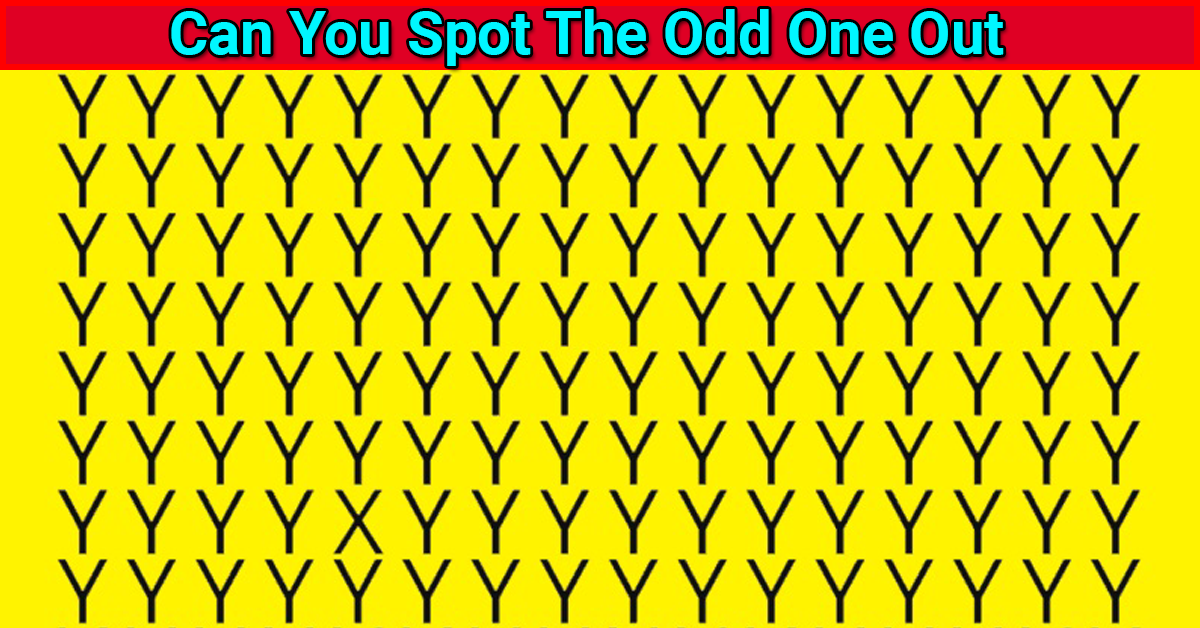 download the new Find The Difference - Spot Odd One