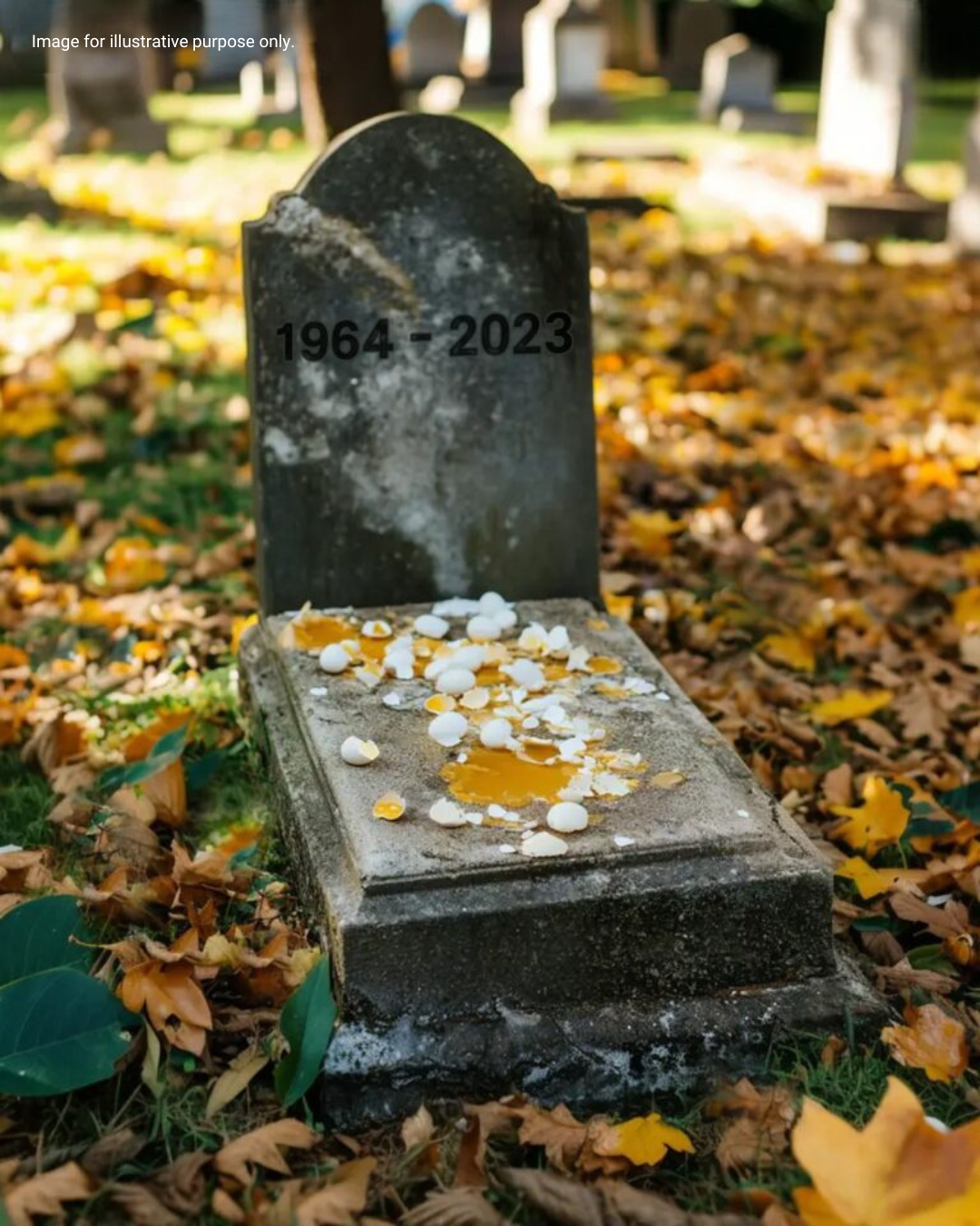 Someone Kept Throwing Eggs at My Husband’s Gravestone – One Day, I Saw Who It Was, and It Nearly Destr0yed My Life